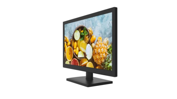 მონიტორი DS-D5019QE-B, 18.5 Inch - Image 3