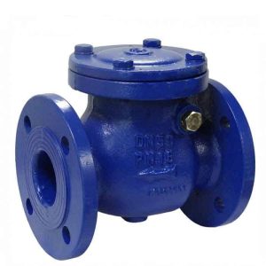 B04600009 - Check valve / B0460