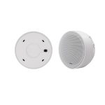 ხმამაღლამოლაპარაკე DSP5311 6.5Inch Surface Mount Ceiling Speaker